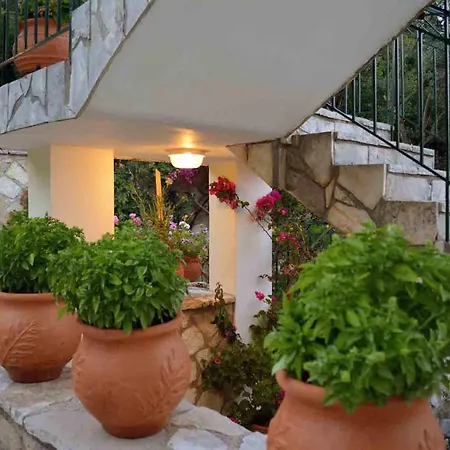 Appartement Diana *