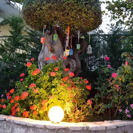 Apartament Diana