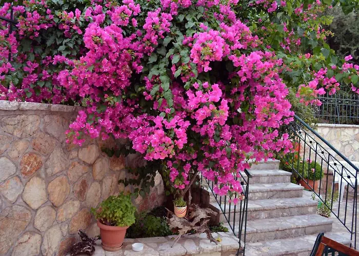 Appartamento Diana *