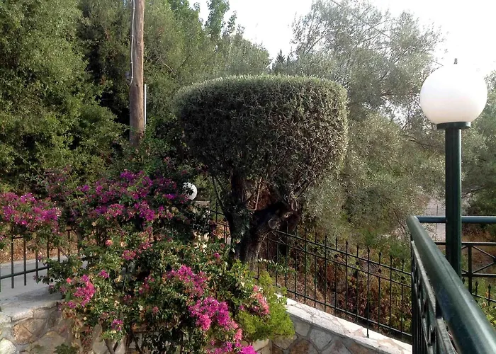 Diana نِكيانا